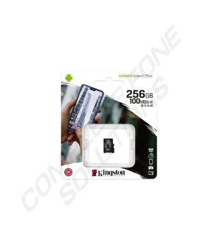 Kingston 256GB Micro SD Memory Card (Class 10) - Without SD Adaptor